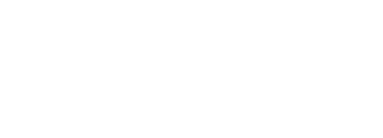 finmoiz logo white